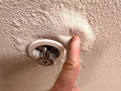 About Black Mold Removal Bremen - black mold removal experts in Bremen